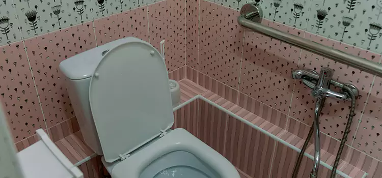 Meeting Diverse Needs With Accessible Restroom Solutions in Dana Point, CA
