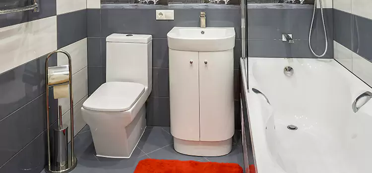 Hansgrohe Shaving Mirror Dana Point